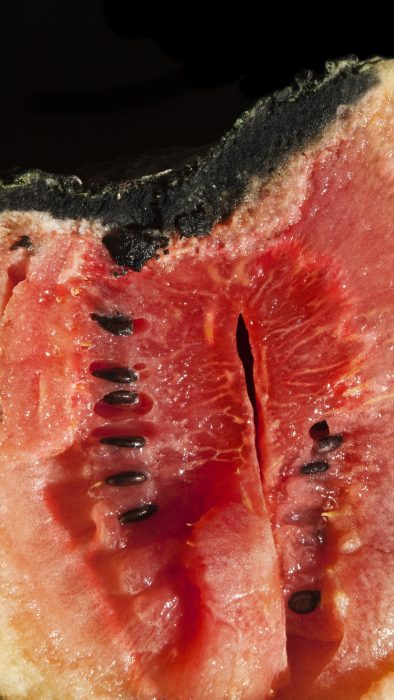 Wassermelone, 100 x 57 cm, 2009, Lambdaprint auf Aluplatte