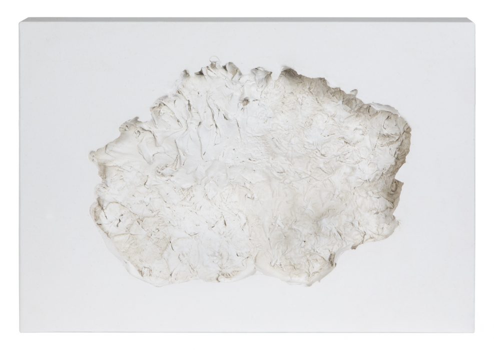 Ananasschalenabdruck, Stonegips, 30 x 21 x 4 cm