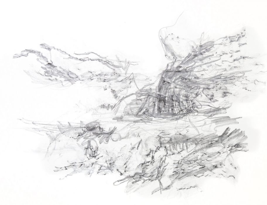 Frottage auf Papier