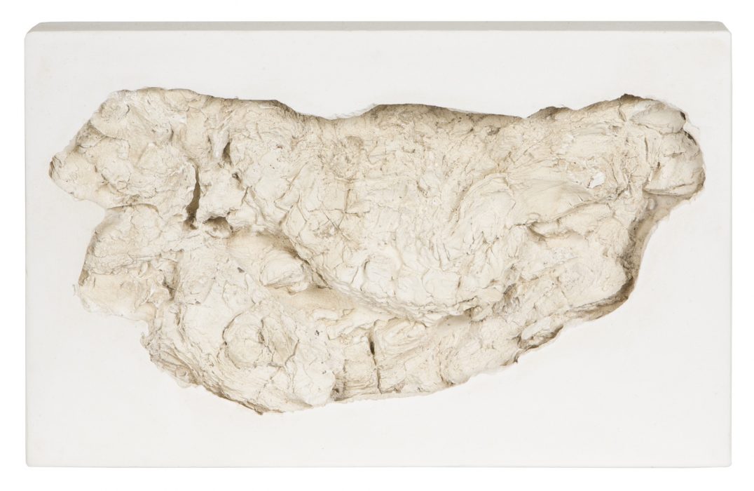 Holzabdruck, Gips, 29 x 18 x 4 cm