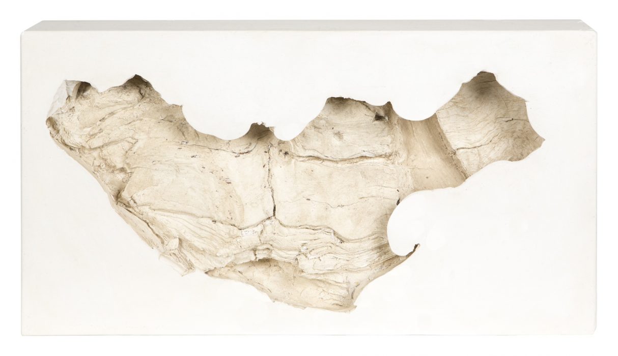 Holzabdruck, Gips, 38 x 20 x 7 cm