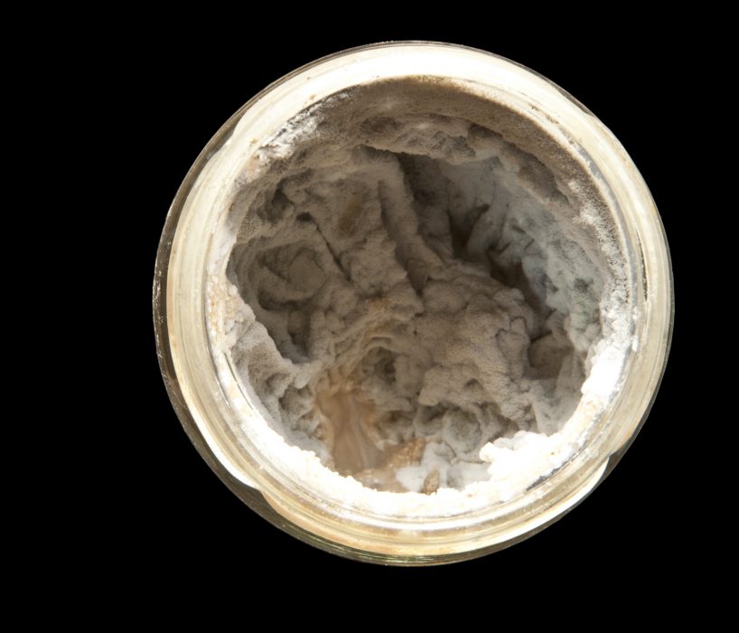Leberpastete, 90 x 77 cm, 2012, Lambdaprint auf Aluplatte