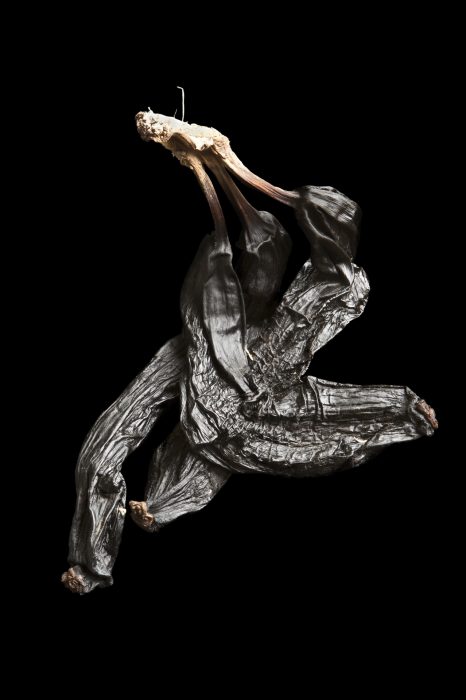 Banane, 100 x 66 cm, 2011, Lambdaprint auf Aluplatte