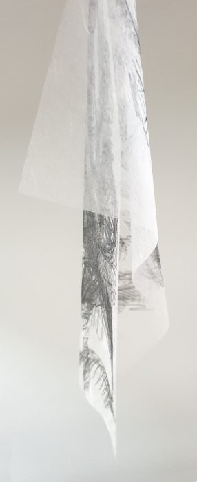Graphitstiftzeichnung auf Hakuryu Awagami Papier 7g/m² , 94 x 64 cm