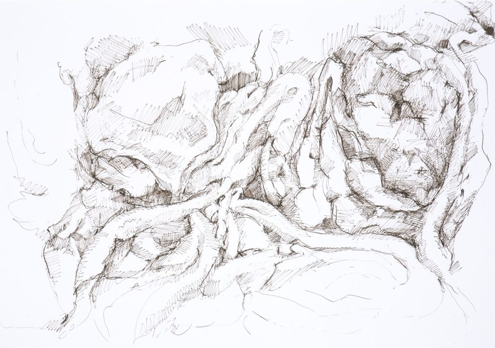59,4 x 42 cm, Federzeichnung mit umbra-farbiger Tusche auf Papier