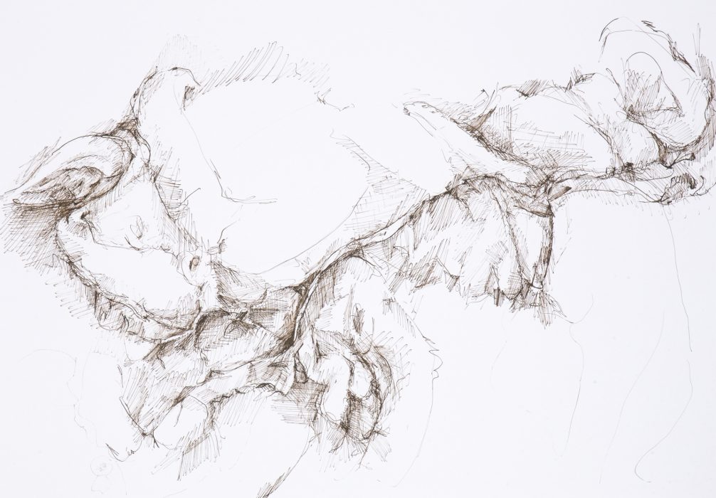 59,4 x 42 cm, Federzeichnung mit umbra-farbiger Tusche auf Papier