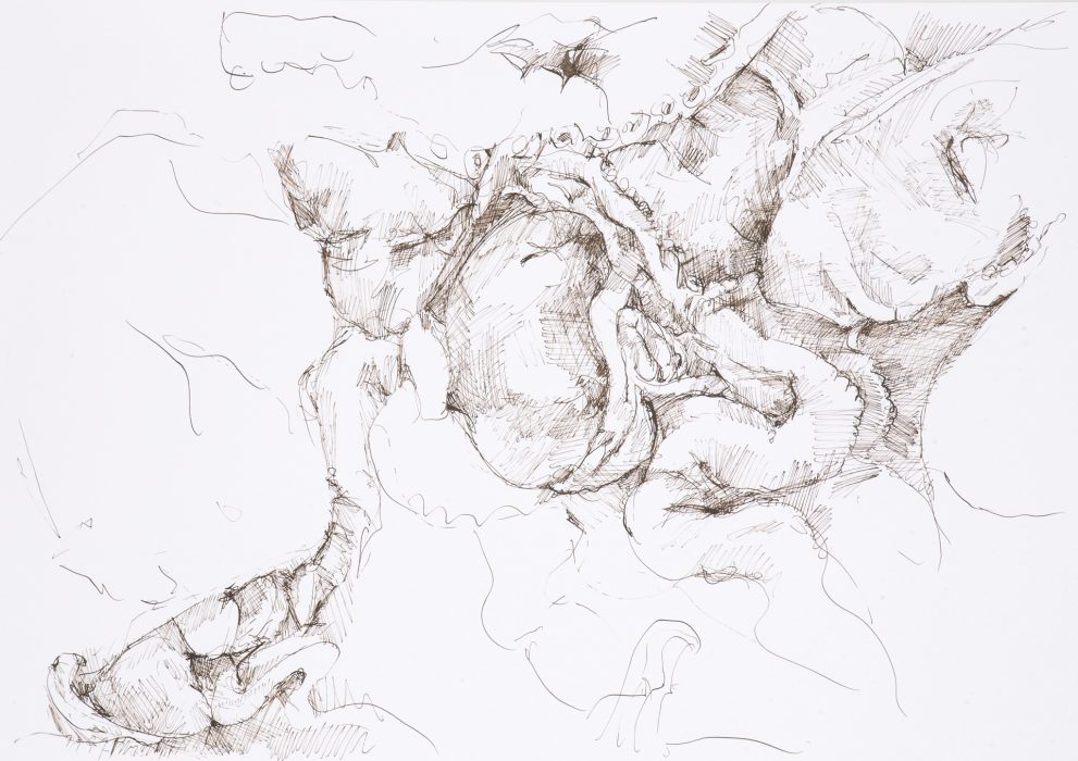 59,4 x 42 cm, Federzeichnung mit umbra-farbiger Tusche auf Papier