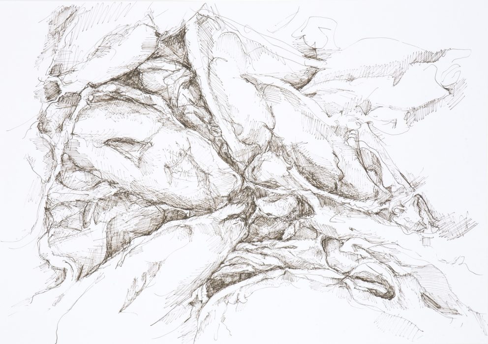 59,4 x 42 cm, Federzeichnung mit umbra-farbiger Tusche auf Papier