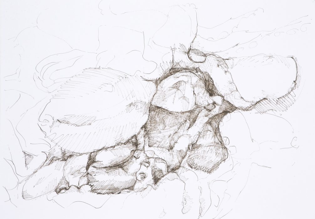 59,4 x 42 cm, Federzeichnung mit umbra-farbiger Tusche auf Papier