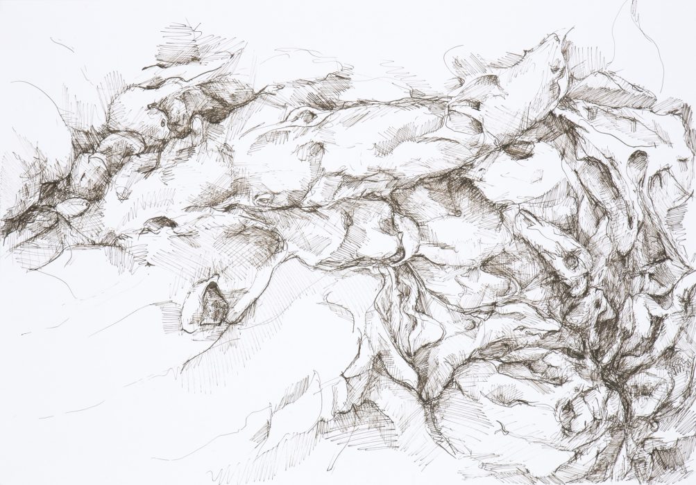 59,4 x 42 cm, Federzeichnung mit umbra-farbiger Tusche auf Papier