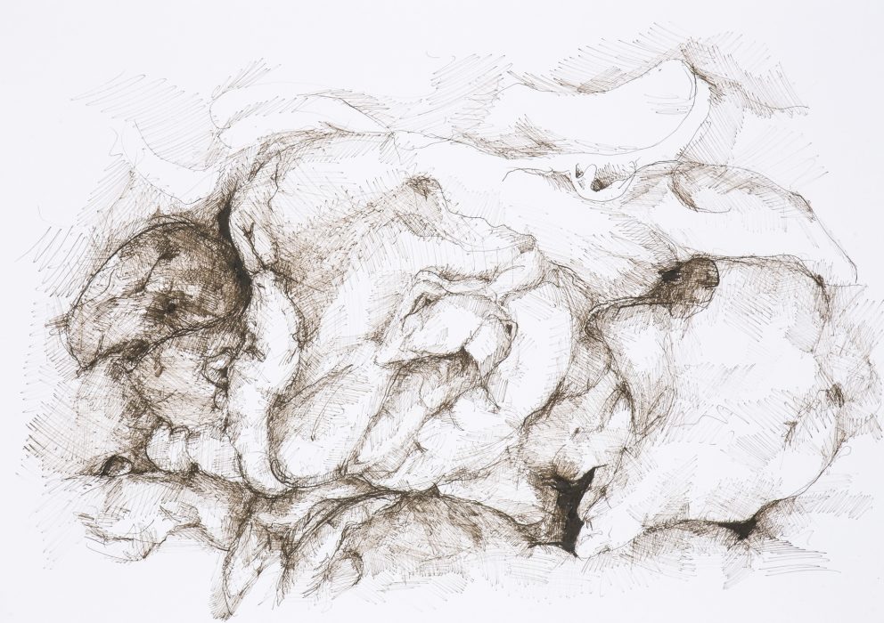 59,4 x 42 cm, Federzeichnung mit umbra-farbiger Tusche auf Papier