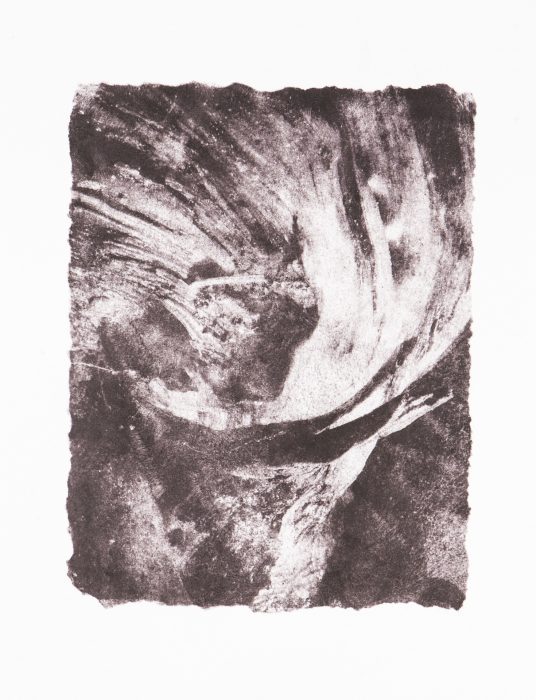 39 x 28 cm Papierlithografie gedruckt auf Büttenpapier