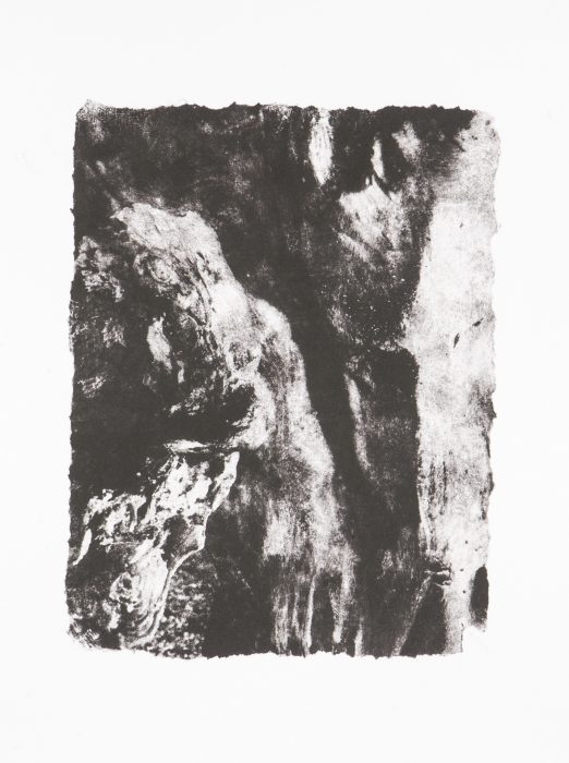 39 x 28 cm Papierlithografie gedruckt auf Büttenpapier