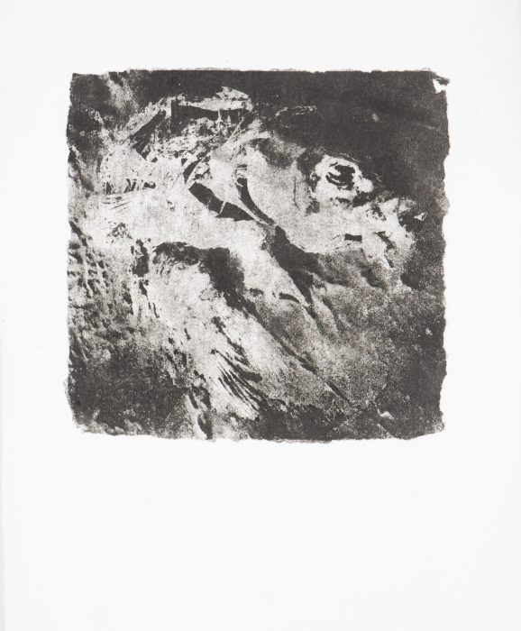 39 x 28 cm Papierlithografie gedruckt auf Büttenpapier