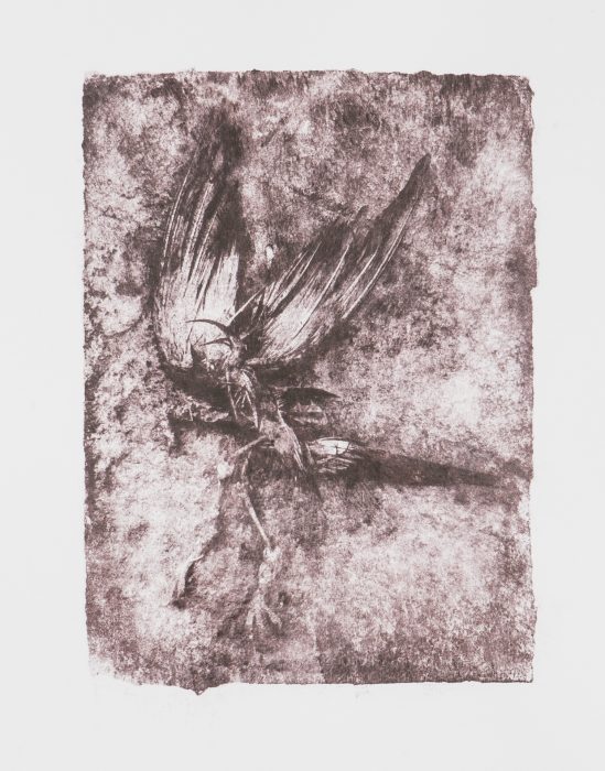 39 x 28 cm Papierlithografie gedruckt auf Büttenpapier