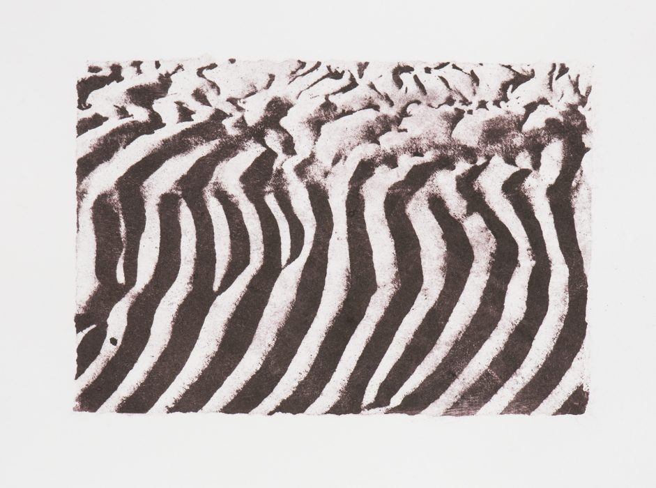 39 x 28 cm Papierlithografie gedruckt auf Büttenpapier