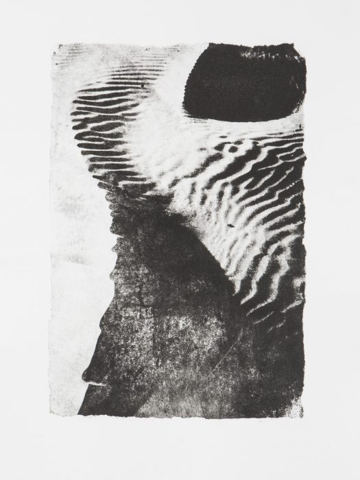 39 x 28 cm Papierlithografie gedruckt auf Büttenpapier