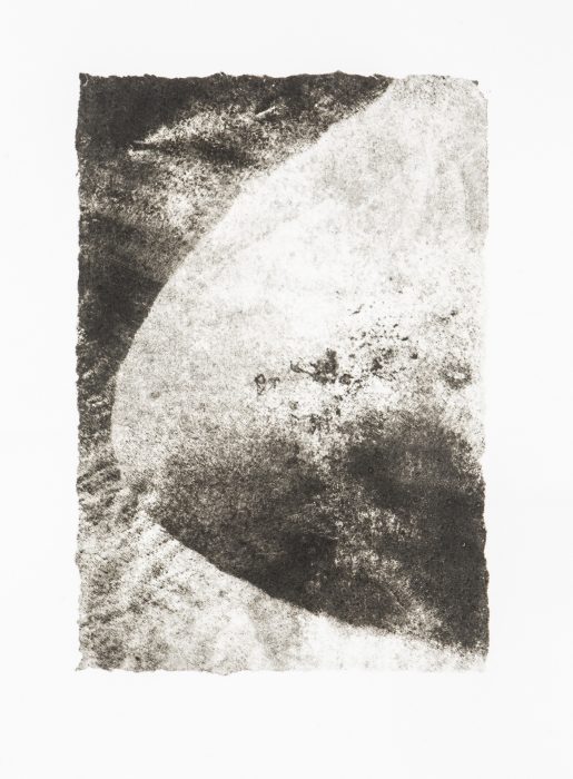 39 x 28 cm Papierlithografie gedruckt auf Büttenpapier