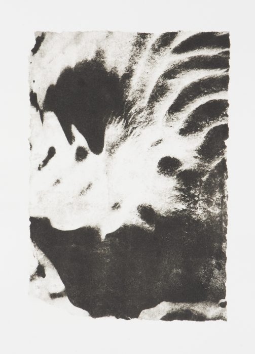39 x 28 cm Papierlithografie gedruckt auf Büttenpapier