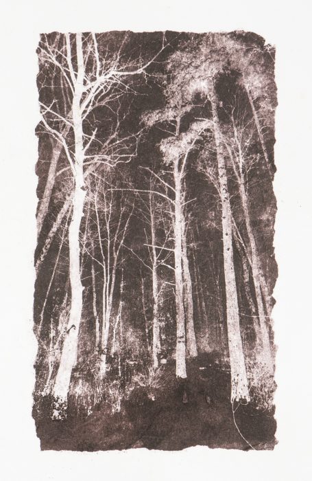 39 x 28 cm Papierlithografie gedruckt auf Büttenpapier