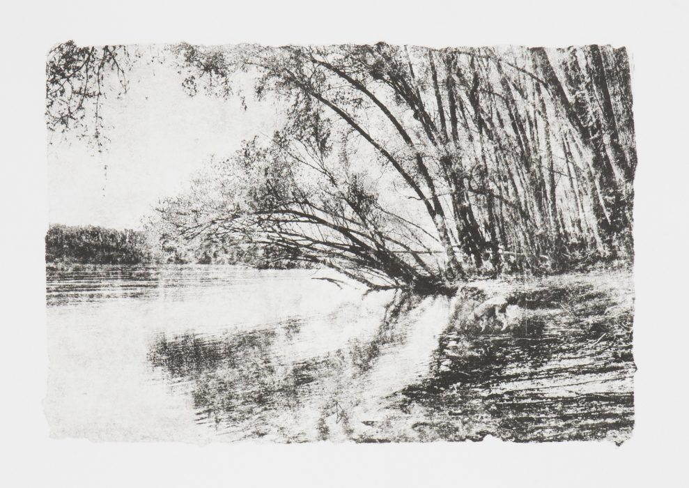 39 x 28 cm Papierlithografie gedruckt auf Büttenpapier