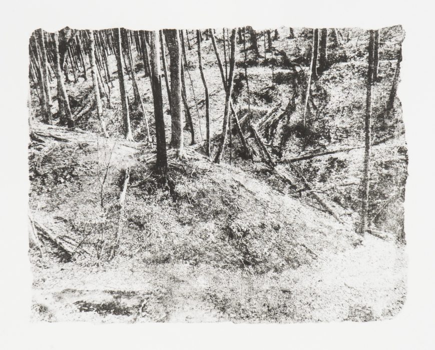 39 x 28 cm Papierlithografie gedruckt auf Büttenpapier