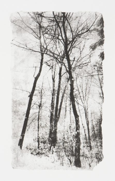 39 x 28 cm Papierlithografie gedruckt auf Büttenpapier