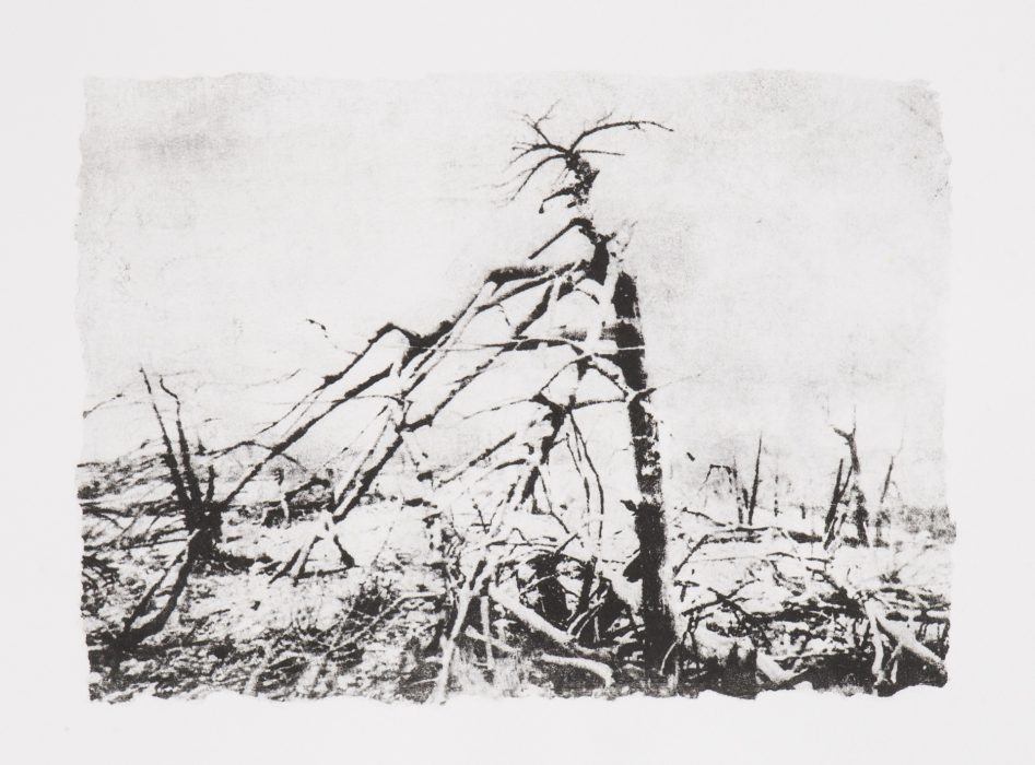 39 x 28 cm Papierlithografie gedruckt auf Büttenpapier