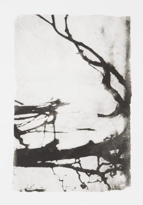 39 x 28 cm Papierlithografie gedruckt auf Büttenpapier