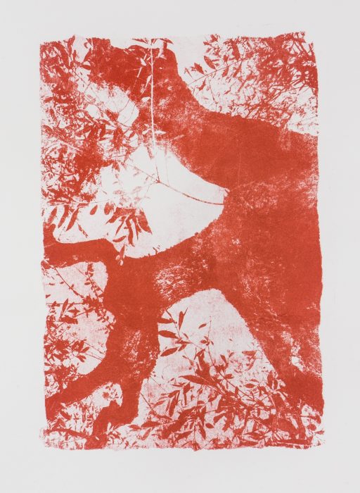39 x 28 cm Papierlithografie gedruckt auf Büttenpapier