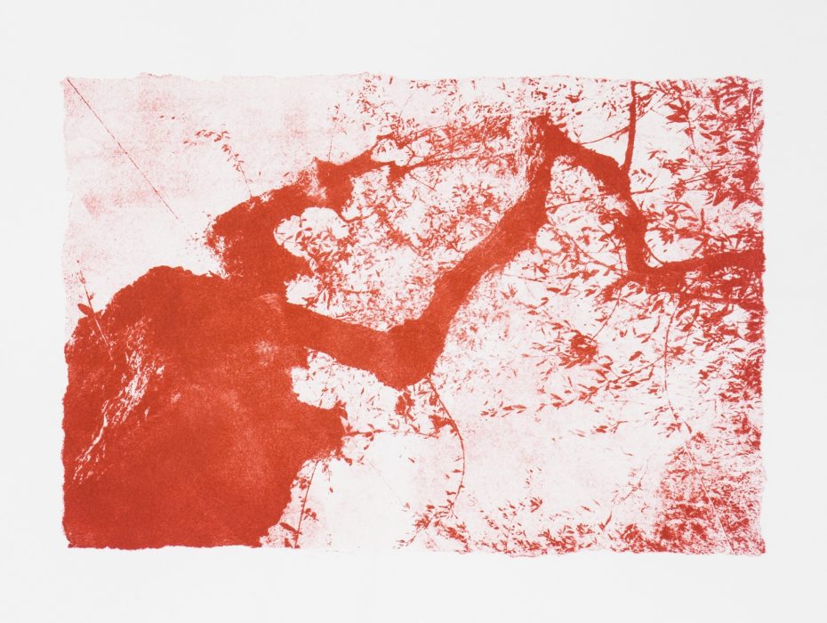 39 x 28 cm Papierlithografie gedruckt auf Büttenpapier
