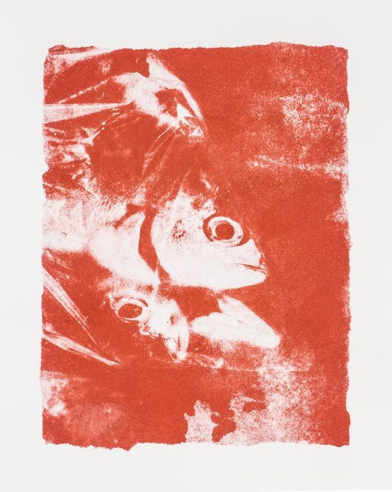 39 x 28 cm Papierlithografie gedruckt auf Büttenpapier
