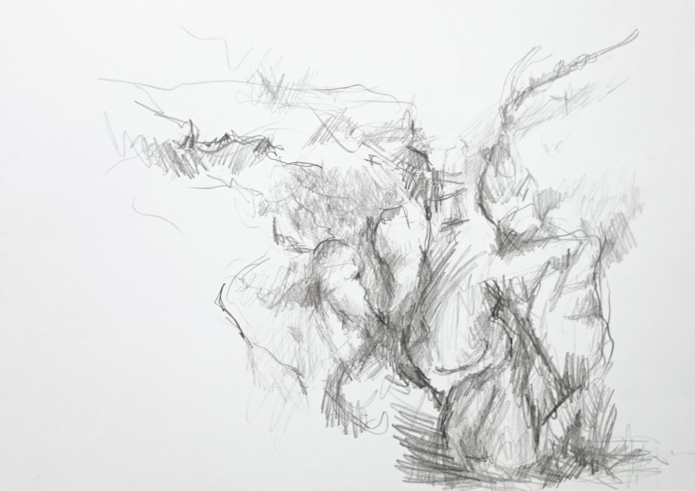 42 x 30 cm, Grafitstiftzeichnung auf Papier