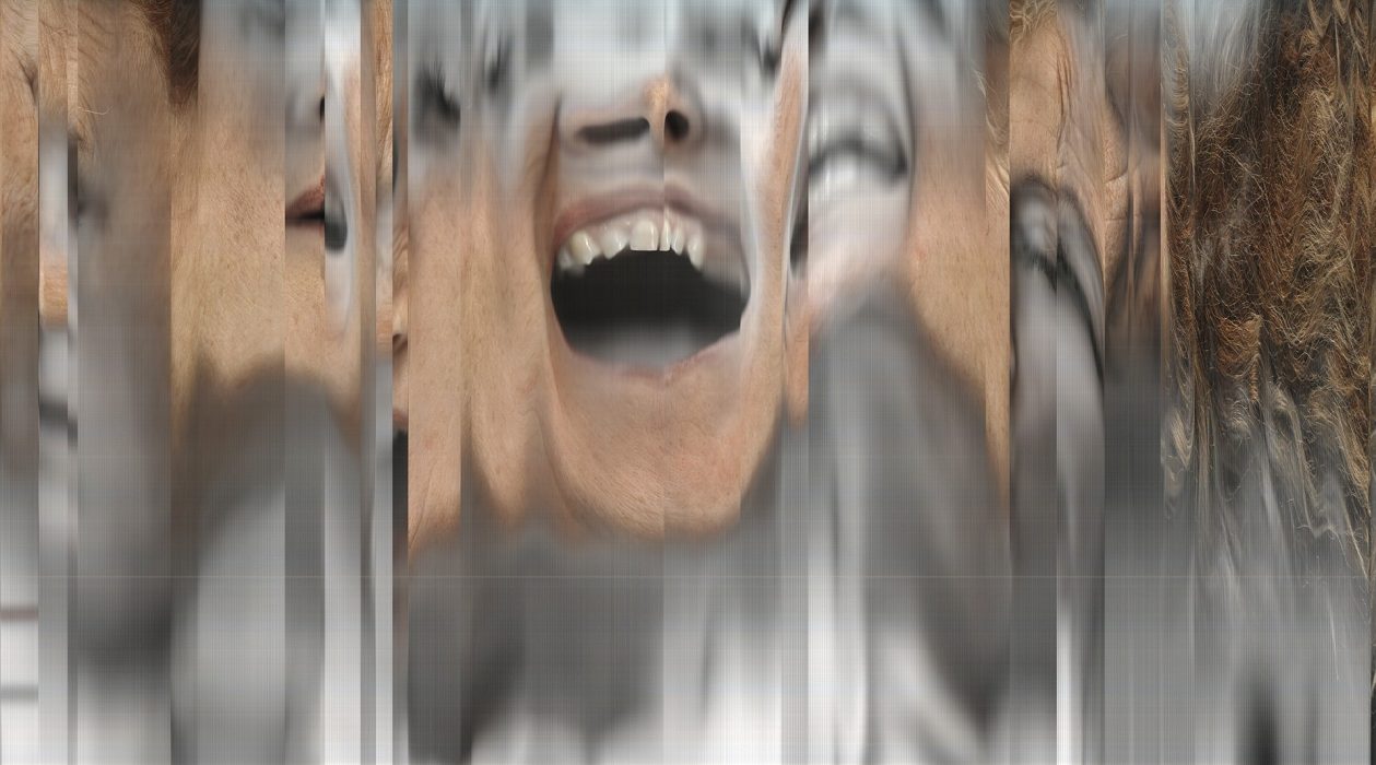 Scan, 120 x 67 cm Lambdaprint auf Aluplatte