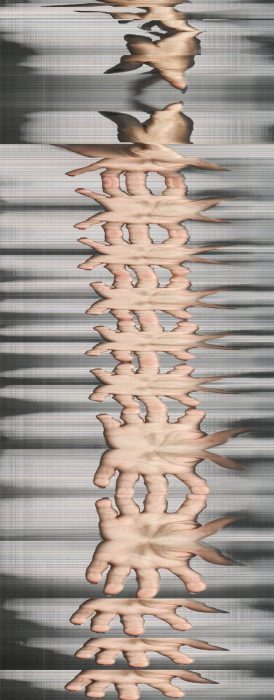 Scan, 120 x 47 cm, Lambdaprint auf Aluplatte
